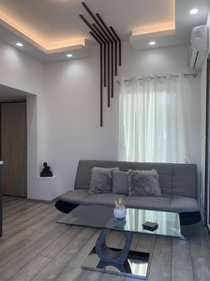 Luxury Athens Apartment With Breathtaking Views Zewnętrze zdjęcie